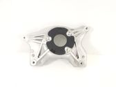 Coil spring mount