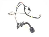 Rear door wiring loom