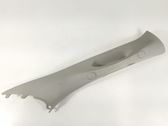 Other sill/pillar trim element