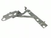 Tailgate/trunk/boot hinge