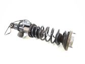 Rear shock absorber/damper