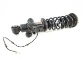 Rear shock absorber/damper