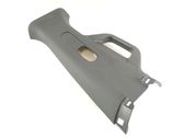 Other sill/pillar trim element