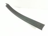 Rear sill trim cover