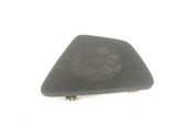 Cache enceinte centrale
