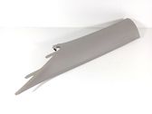 Other sill/pillar trim element