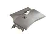 Other sill/pillar trim element