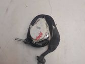Ceinture de sécurité arrière