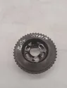 Fuel pump gear (pulley)