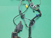 Front door wiring loom