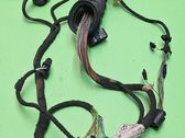 Front door wiring loom
