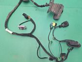 Cableado de puerta delantera