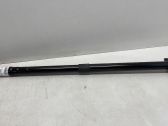 Tailgate/trunk strut/damper