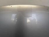 Engine bonnet/hood