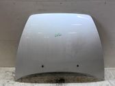 Engine bonnet/hood