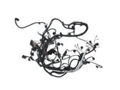 Front door wiring loom