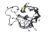 Front door wiring loom