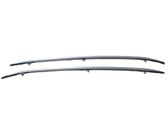 Roof bar rail