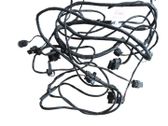 Front door wiring loom