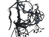 Front door wiring loom