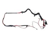 Front door wiring loom