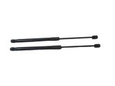Front bonnet/hood damper/strut