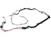 Front door wiring loom
