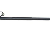 Tailgate strut