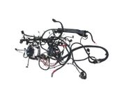 Ignition plug leads