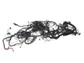 Front door wiring loom