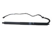 Tailgate strut