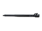 Tailgate strut