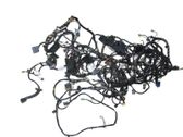 Front door wiring loom