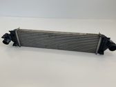Intercooler radiator