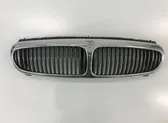 Front grill