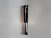 Front bonnet/hood damper/strut