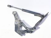 Engine bonnet/hood hinges