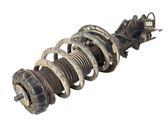 Front shock absorber/damper