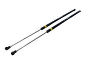 Tailgate/trunk strut/damper