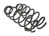 Rear coil spring