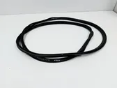 Trunk rubber seal (body)