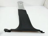 (C) pillar trim