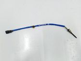 Abgastemperatursensor