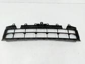 Grille inférieure de pare-chocs avant