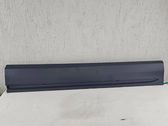 Front door trim (molding)