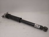 Rear shock absorber/damper