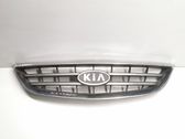 Front bumper upper radiator grill