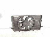 Electric radiator cooling fan