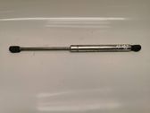 Front bonnet/hood damper/strut