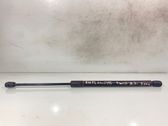 Tailgate/trunk strut/damper